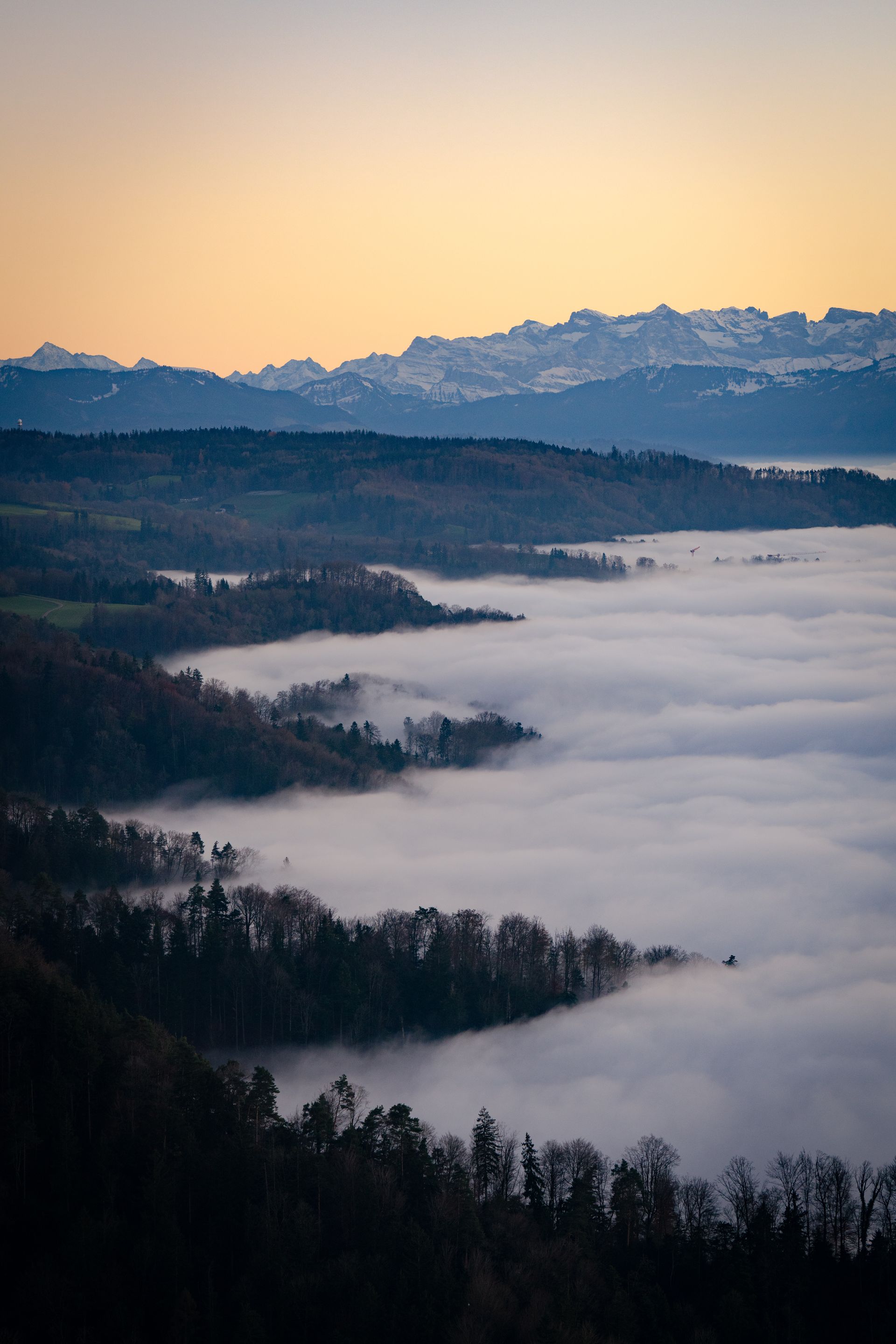 Cordillera al amanecer con bosque y neblina entre sus laderas